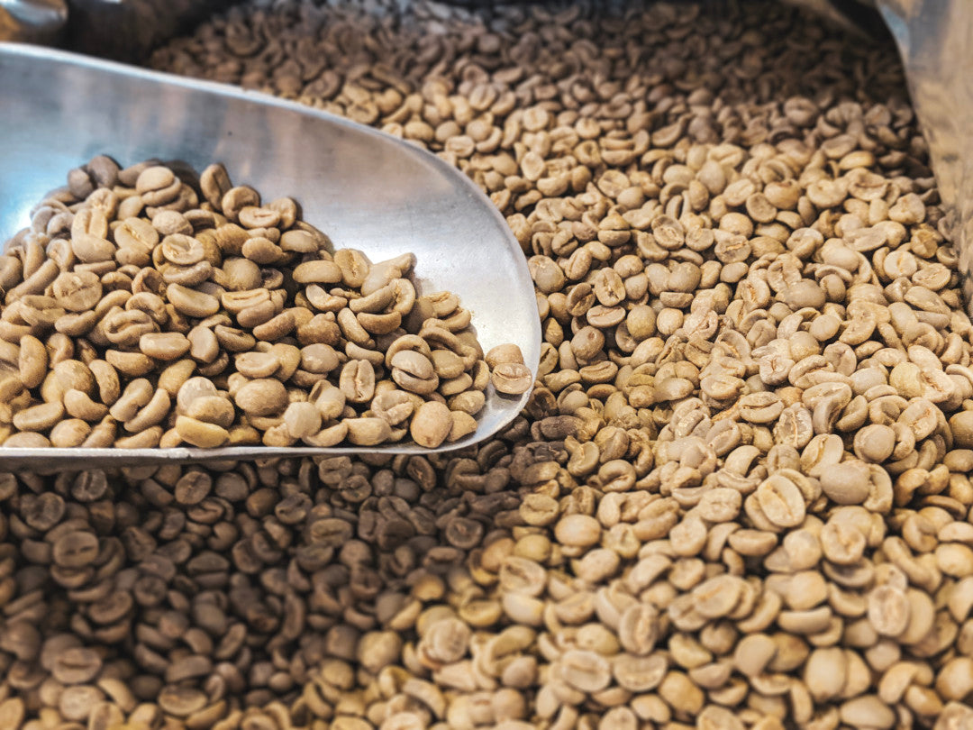 Brazil Daterra Sunrise