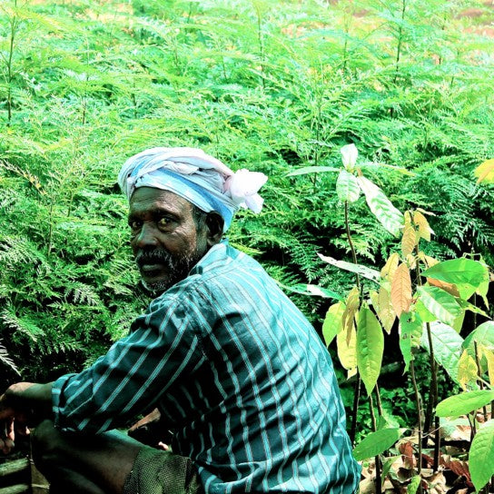 Monsooned Malabar AA