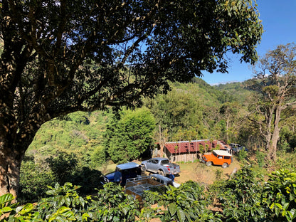 Costa Rica El Cedral
